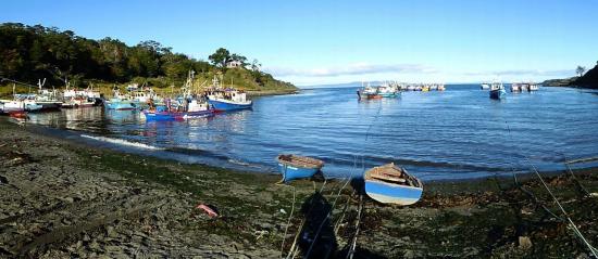 Bahia Mansa et sa flotille de pêche aux centollas et aux algues