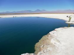 Laguna Cejar (40% de sel et effet mer Morte)